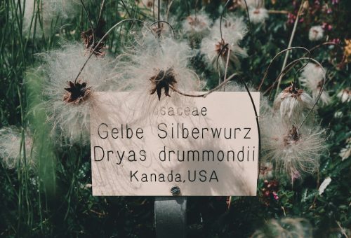 Kuidas tugevdada peresuhteid igapäevaelus