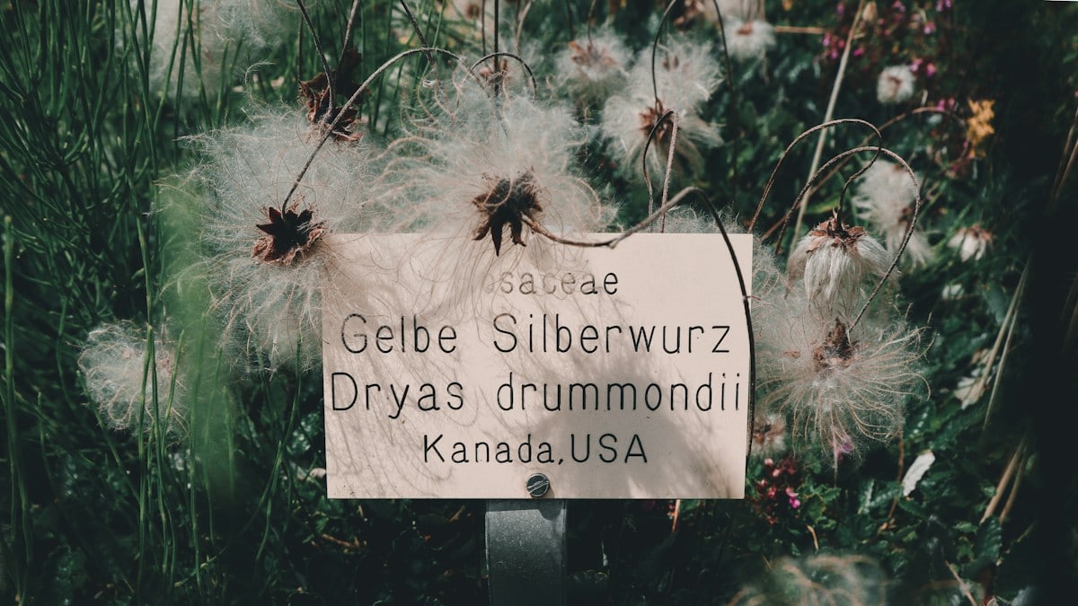 Kuidas tugevdada peresuhteid igapäevaelus